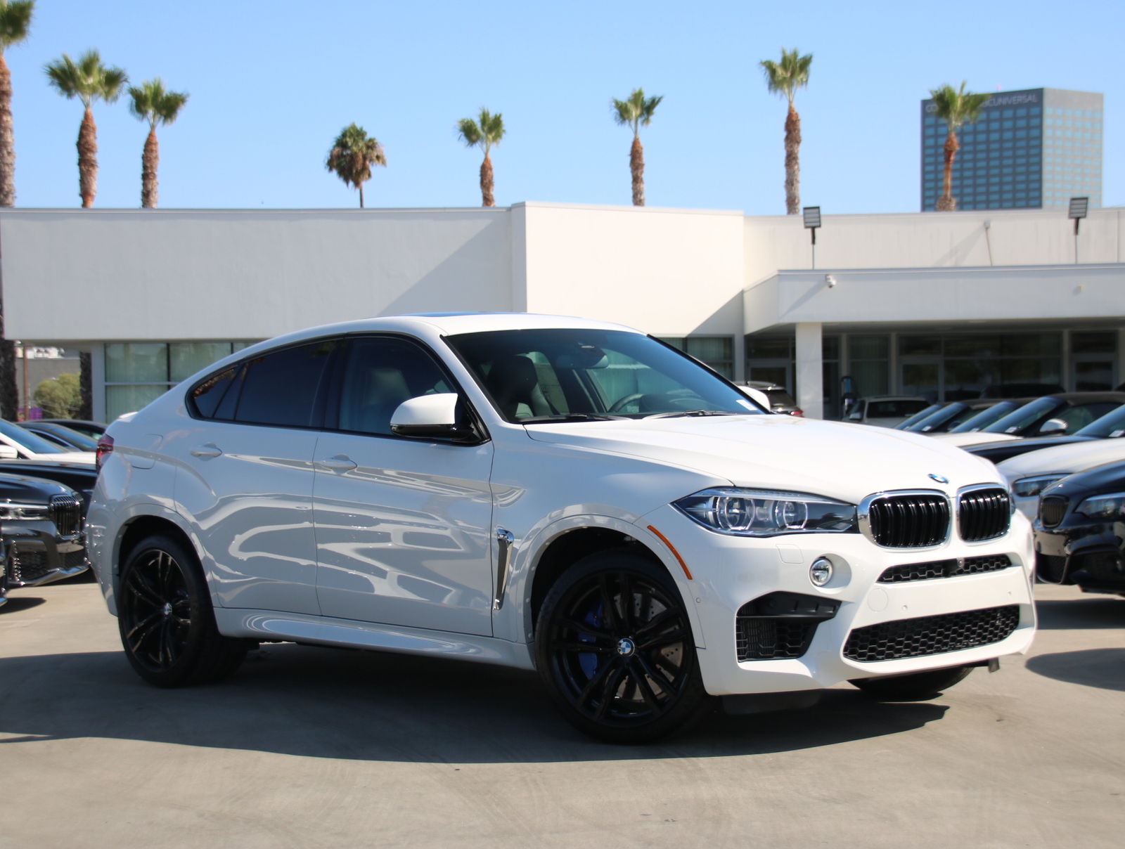 Bmw x6 m 2019